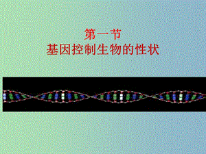 八年級(jí)生物下冊(cè)《第七單元 第二章 第一節(jié) 基因控制生物的性狀》課件 新人教版.ppt