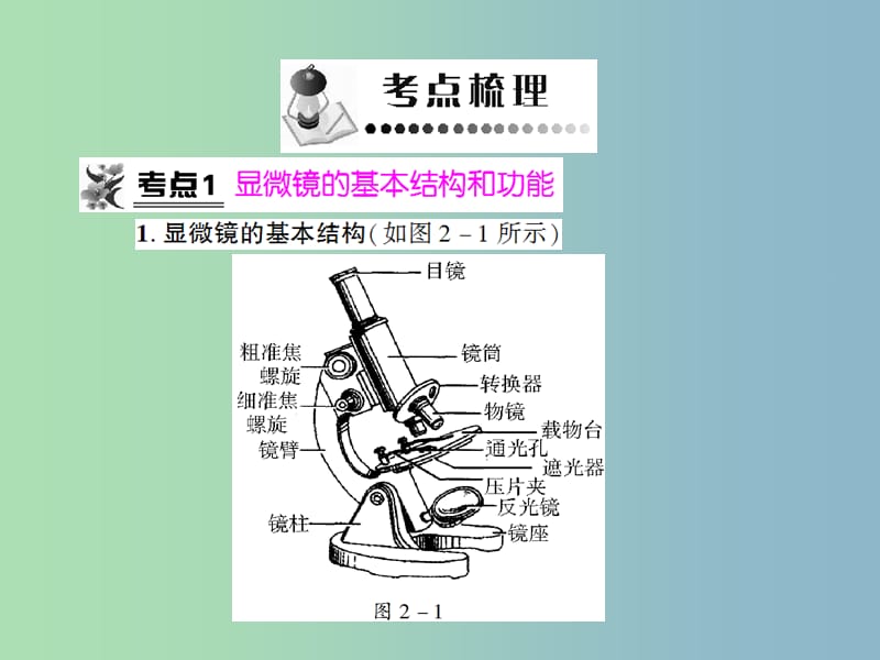 八年级生物 专题二 生物体的结构层次复习课件 （新版）济南版.ppt_第3页