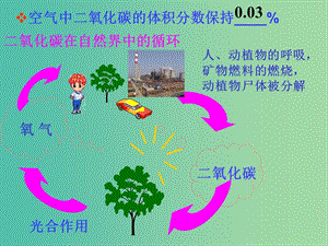 九年級化學(xué)上冊 第六單元 課題3 二氧化碳和一氧化碳課件2 新人教版.ppt