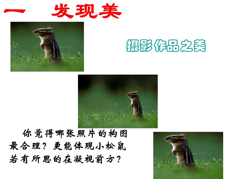 黄金分割PPT课件.ppt_第3页