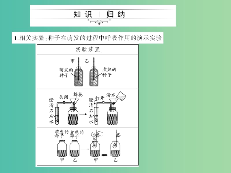 中考生物第一轮系统复习篇 第三单元 第五、六章 绿色植物与生物圈中的碳—氧平衡课件.ppt_第2页