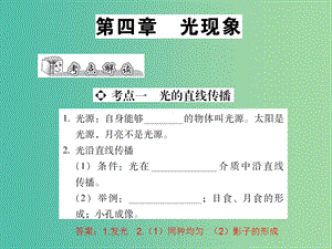 中考物理總復(fù)習(xí) 第四章 光現(xiàn)象（精講）課件.ppt