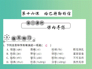 九年級語文上冊 第四單元 4.16 給巴特勒的信課件 語文版.ppt