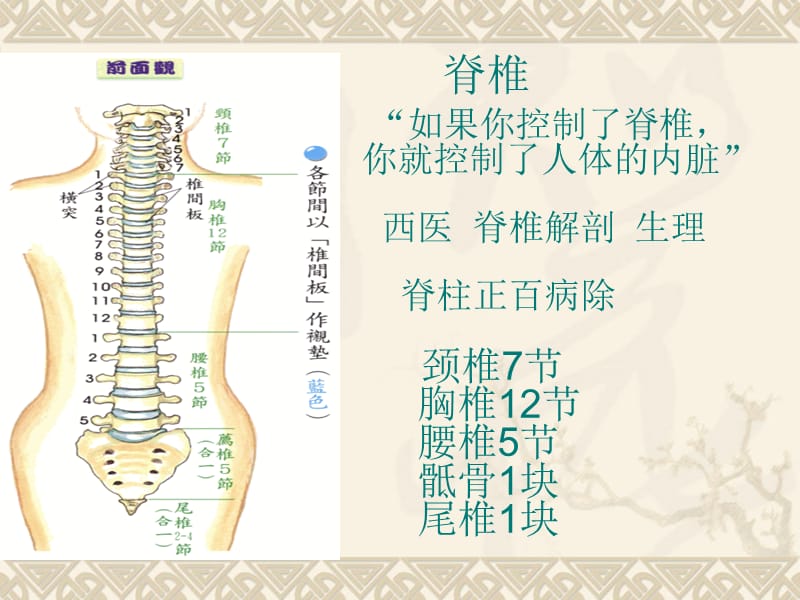 肩颈专业知识详解.ppt_第2页