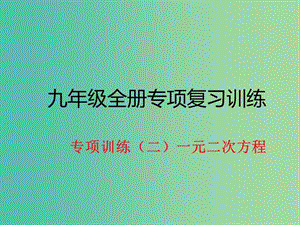 九年級(jí)數(shù)學(xué)下冊(cè) 專項(xiàng)訓(xùn)練二 一元二次方程作業(yè)課件 北師大版.ppt