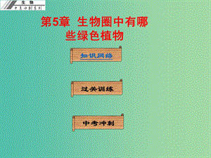 中考生物沖刺復(fù)習(xí) 基礎(chǔ)梳理 第5章 生物圈中有哪些綠色植物課件 新人教版.ppt