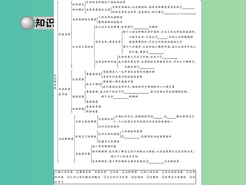 中考政治 备考集训 第一篇 系统复习 第十八讲 认识新自我课件 新人教版.ppt_第3页