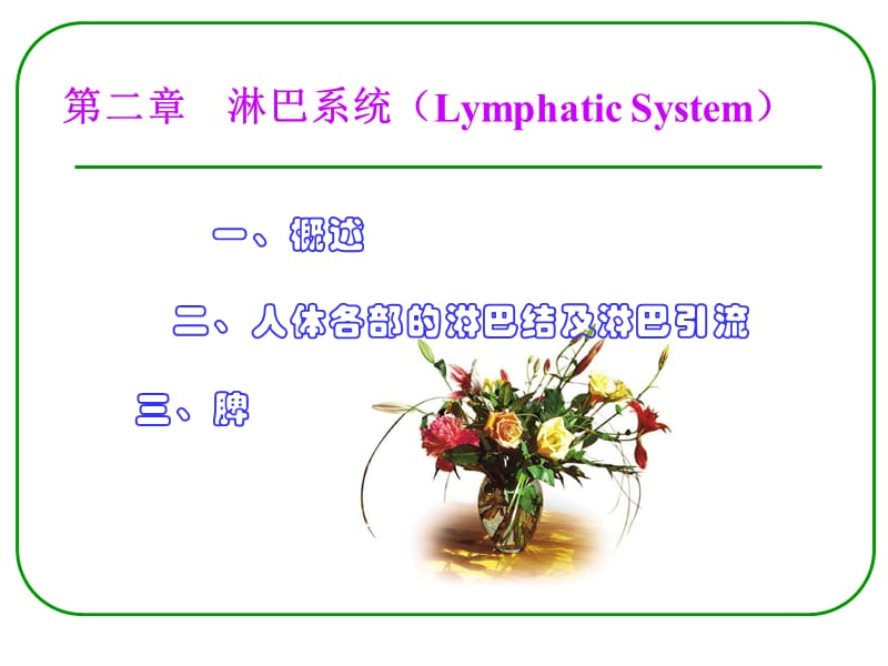 系统解剖学淋巴系统.ppt_第2页