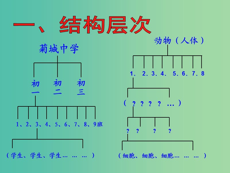 七年级生物上册2.2.2动物体的结构层次课件新版新人教版.ppt_第2页