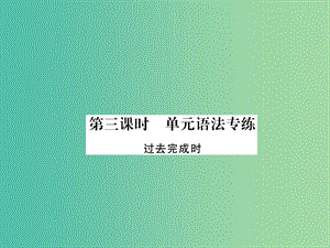 九年級(jí)英語(yǔ)全冊(cè) Unit 12 Life is full of the unexpected（第3課時(shí)）單元語(yǔ)法專(zhuān)練課件 （新版）人教新目標(biāo)版.ppt