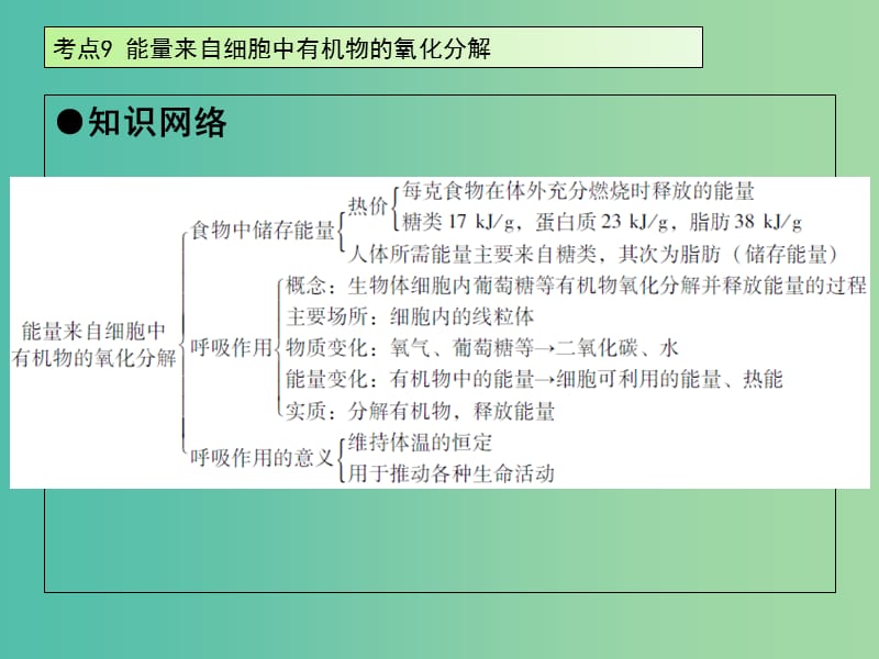 中考生物 第4单元 考点9 能量来自细胞中有机物的氧化分解课件 新人教版.ppt_第2页