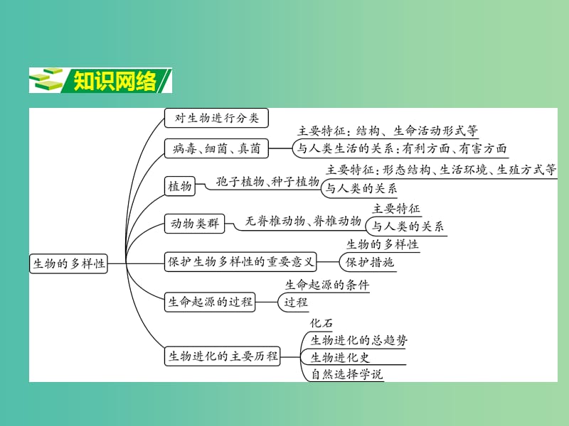 中考生物 第二部分 重点专题突破 专题八 生物的多样性复习课件 济南版.ppt_第2页