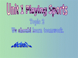 八年級英語上冊 Unit 1 Playing Sports Topic 2 Section C課件 （新版）仁愛版.ppt