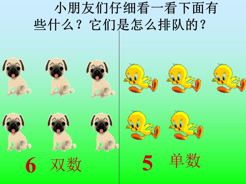 认识单数和双数.ppt_第2页