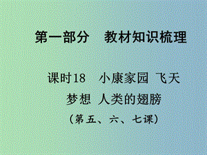 中考政治總復(fù)習(xí) 知識梳理精講 七下 第5-7課課件 人民版.ppt