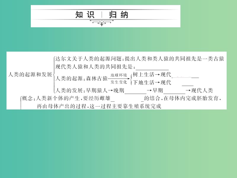 中考生物第一轮系统复习篇 第四单元 第一章 人的由来课件.ppt_第2页