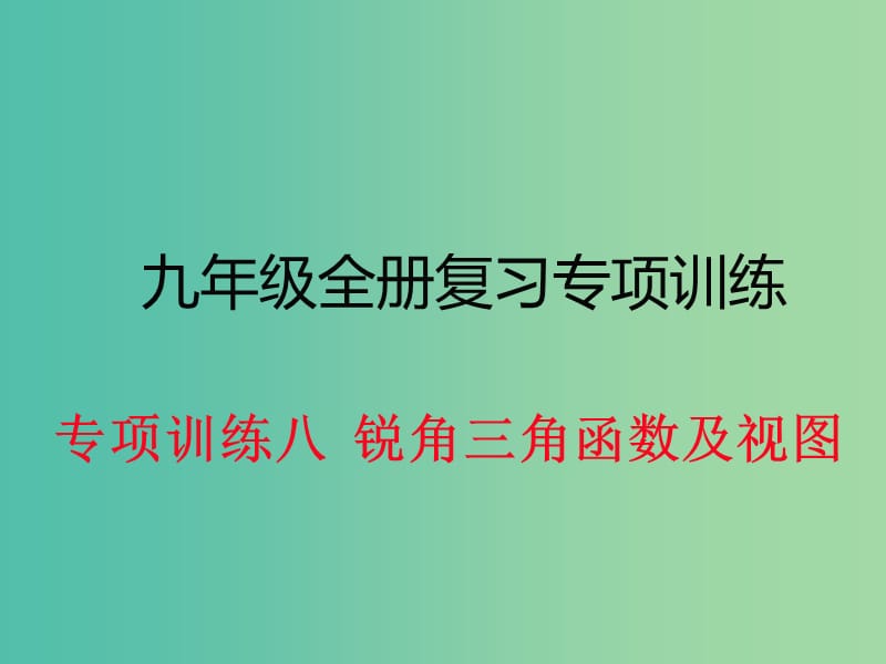 九年级数学下册 专项训练八 锐角三角函数及视图课件 新人教版.ppt_第1页