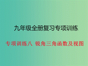 九年級數(shù)學(xué)下冊 專項訓(xùn)練八 銳角三角函數(shù)及視圖課件 新人教版.ppt