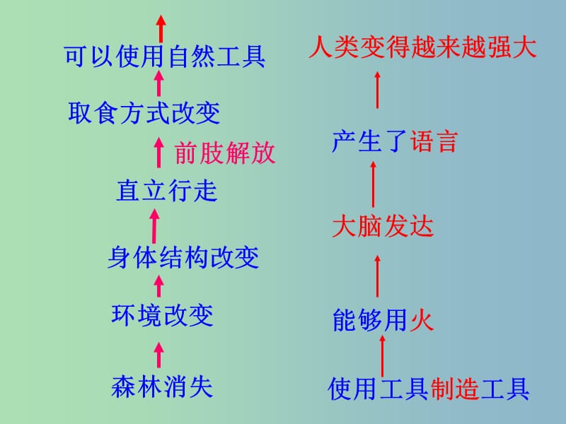 七年级生物下册 1.2 人的生殖课件2 新人教版.ppt_第1页