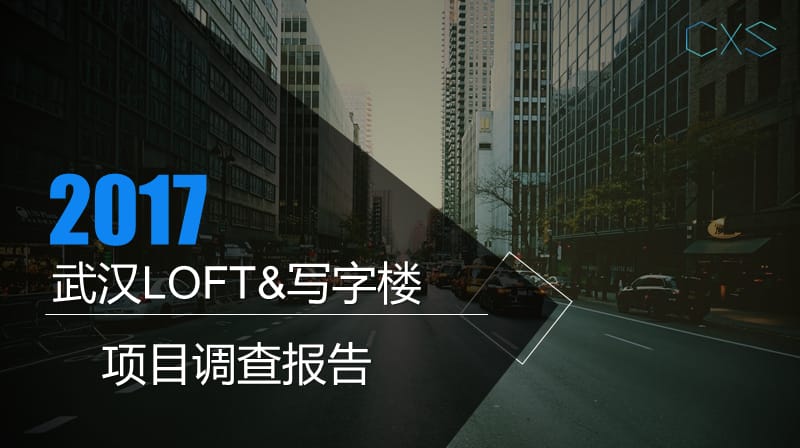 武汉新公寓LOFT及商业项目市场报告.ppt_第1页