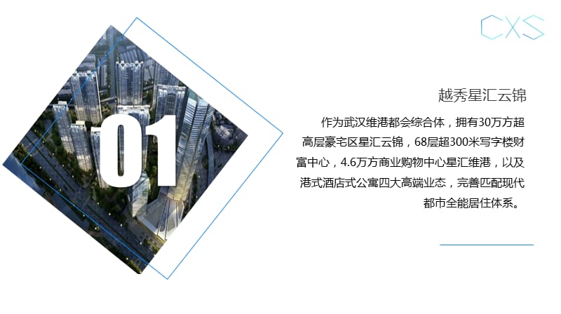 武汉新公寓LOFT及商业项目市场报告.ppt_第2页