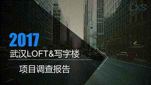 武汉新公寓LOFT及商业项目市场报告.ppt