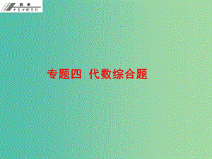 中考數(shù)學(xué)總復(fù)習(xí) 專題四 代數(shù)綜合題（課堂本）課件 新人教版.ppt