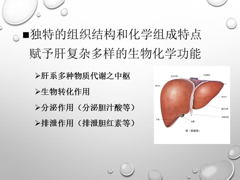 肝脏在脂类代谢中的作用.ppt_第3页