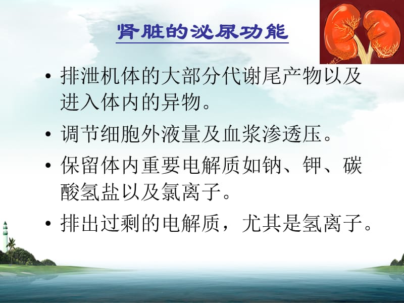 肾功能衰竭的护理.ppt_第2页