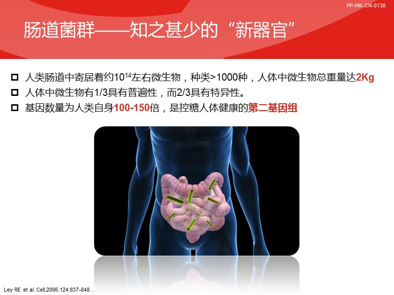 肠道菌群糖尿病及肥胖防治新靶点.ppt_第3页