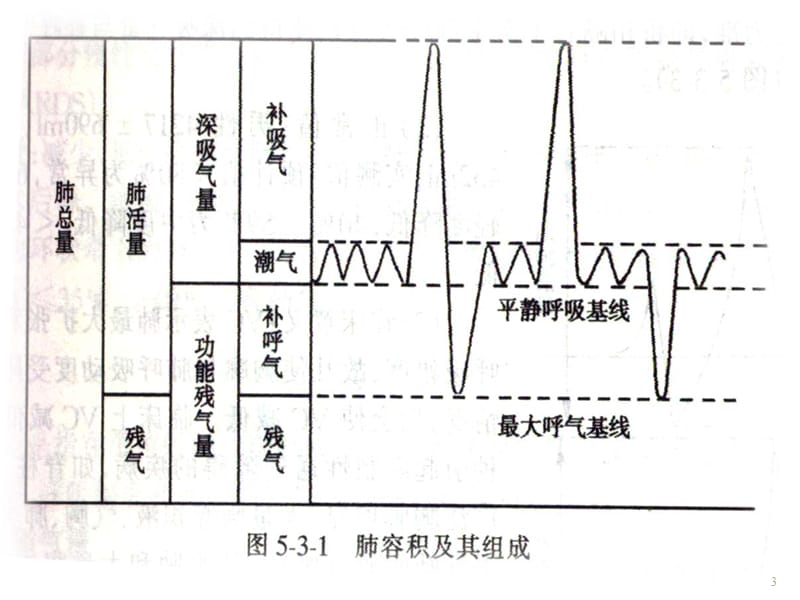 肺功能的原理和评估ppt课件_第3页