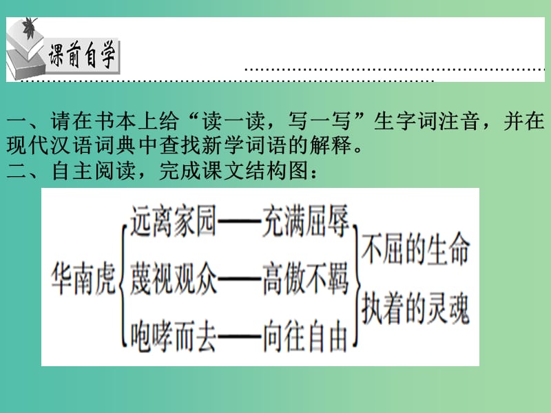 七年级语文下册 第六单元 第28课《华南虎》课件 新人教版.ppt_第3页