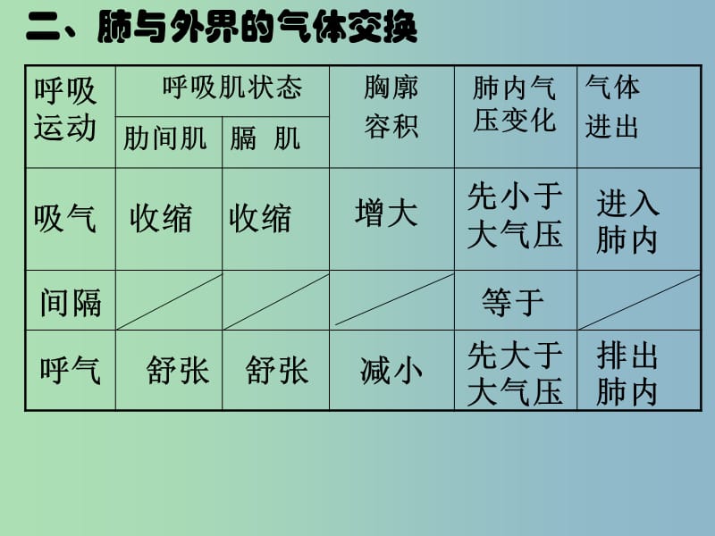 七年级生物下册 3.2 发生在肺内的气体交换复习课件 新人教版.ppt_第3页