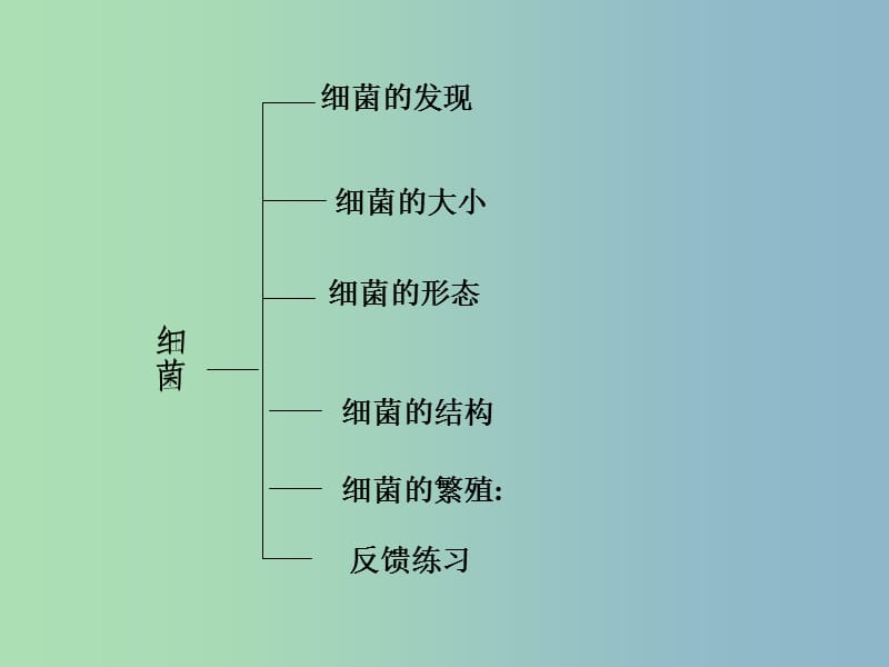 八年级生物上册 5.4.2 细菌课件 新人教版.ppt_第2页