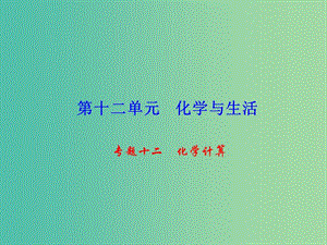 九年級化學(xué)下冊 第12單元 專題十二 化學(xué)計算課件 新人教版.ppt