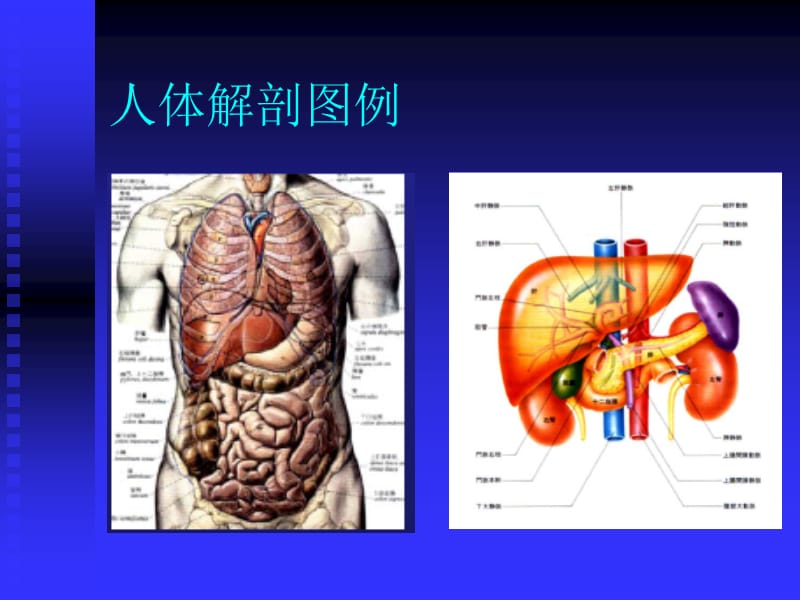 超声常用标准切面.ppt_第3页