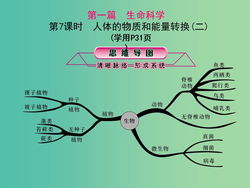 中考科学总复习 第7课时 人体的物质和能量转换（二）课件.ppt_第1页