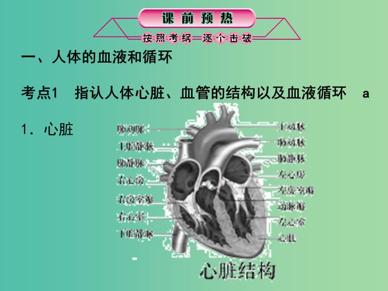 中考科学总复习 第7课时 人体的物质和能量转换（二）课件.ppt_第2页