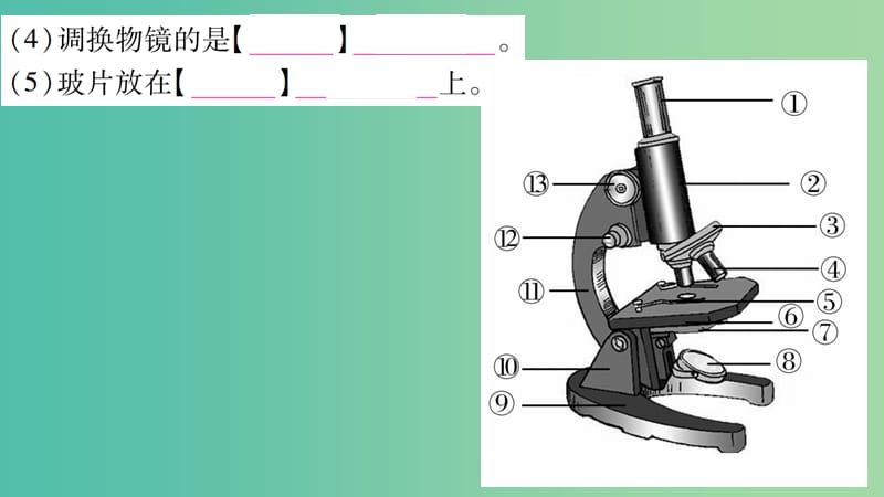 中考生物总复习 第2单元 生命体的结构课件 北师大版.ppt_第3页