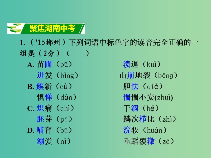 中考语文 第一部分 积累与运用 专题1 字音字形复习课件 新人教版.ppt_第2页