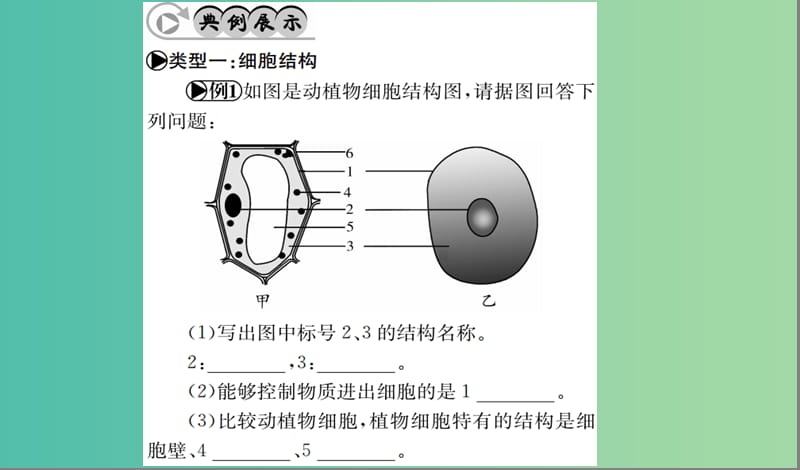 中考生物 专题综合突破 专题一 生物体的结构层次课件.ppt_第2页