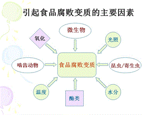 食品腐敗變質(zhì)的主要原因.ppt