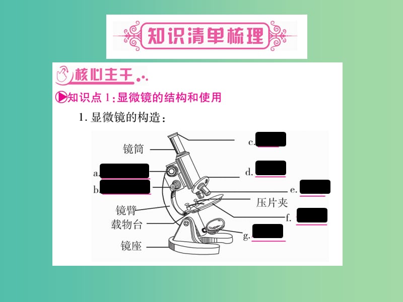 中考生物总复习 第2单元 生物体的结构层次课件 新人教版.ppt_第2页