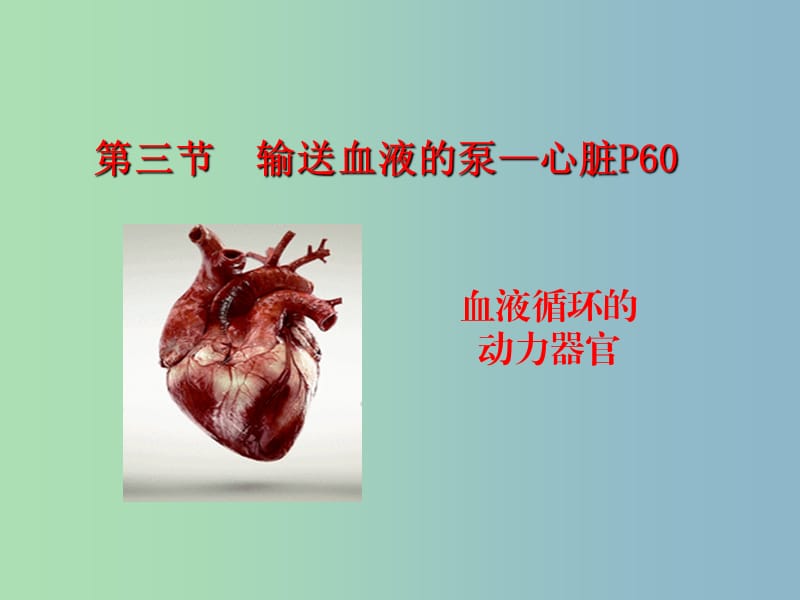 七年级生物下册 4.3 输送血液的泵—心脏课件 （新版）新人教版.ppt_第1页