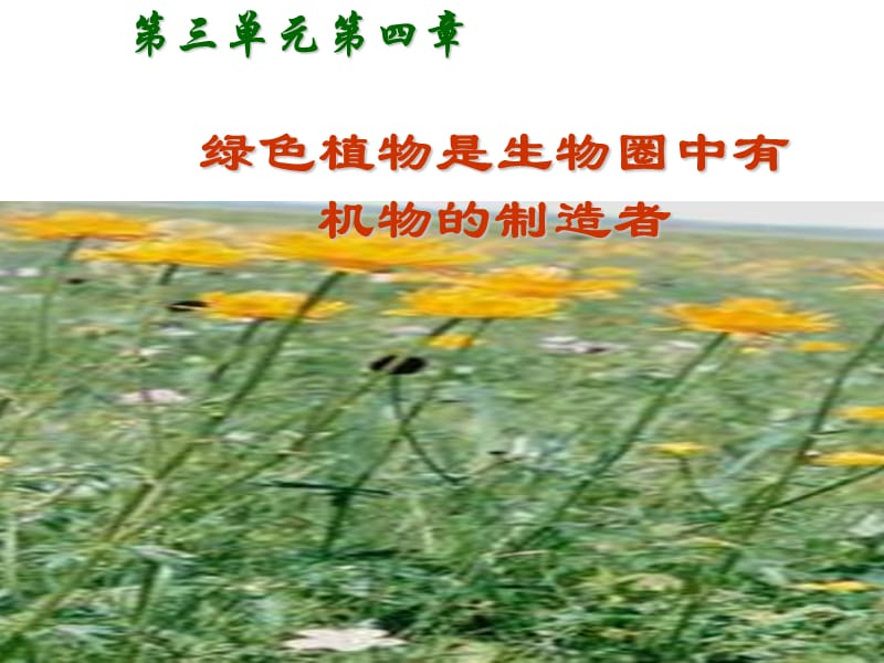 绿色植物是生物圈中有机物的制造者.ppt_第1页