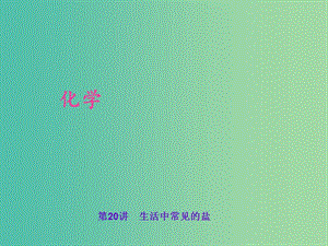 中考化學(xué) 考點(diǎn)聚焦 第20講 生活中常見(jiàn)的鹽課件.ppt