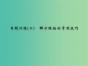 七年级数学下册 专题训练（二）解方程组的常用技巧课件 （新版）新人教版.ppt