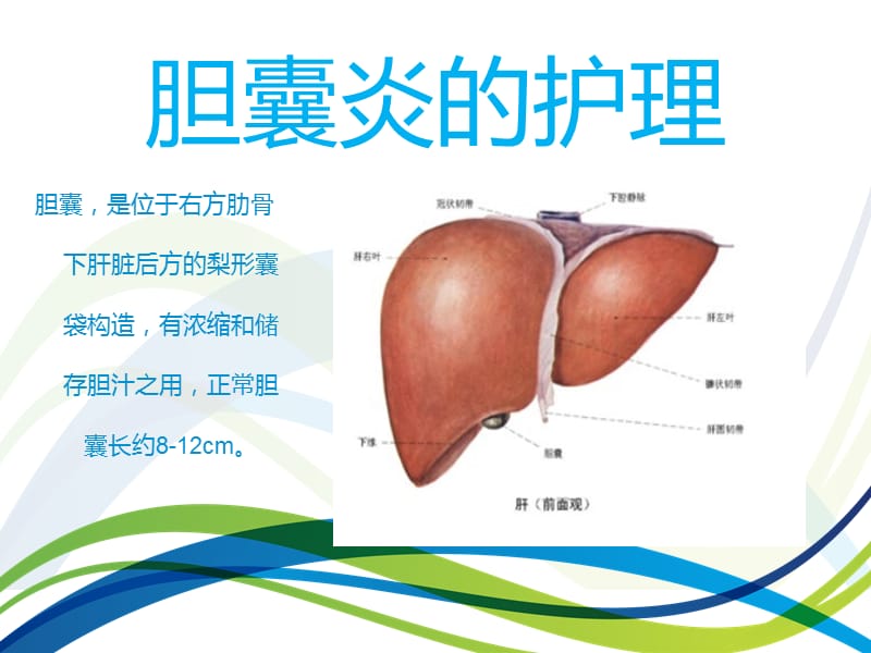 《胆囊炎的护理》PPT课件.ppt_第2页