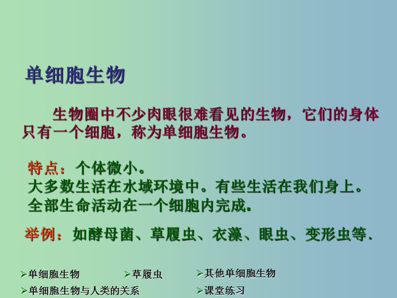 七年级生物上册 2.3.3 只有一个细胞的生物体课件 新人教版.ppt_第3页