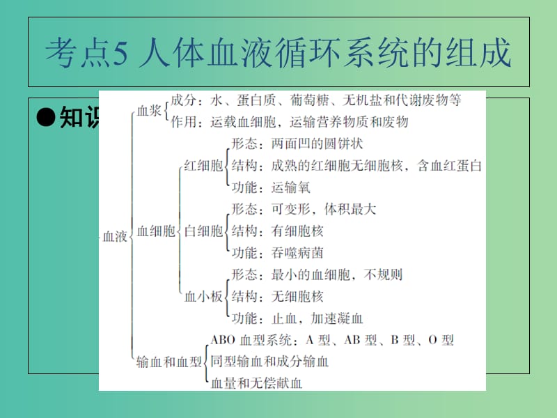 中考生物 第4单元 考点5 人体血液循环系统的组成课件 新人教版.ppt_第2页